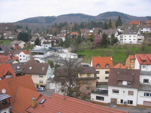 Ausblick - Schöne helle 2-Zimmer Wohnung in Schriesheim-Altenbach
