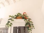 Bild 10 - 