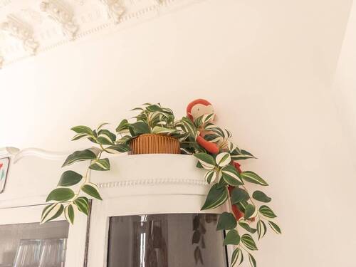 Bild 10 - 