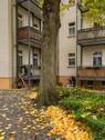 Bild 11 - 