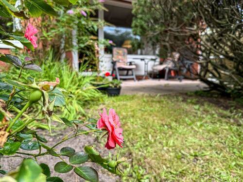 Garten - 