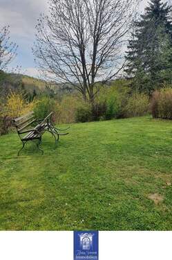 Gemeinschaftsgarten - 