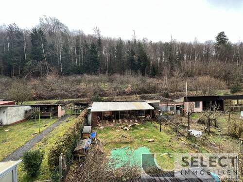 Ausblick - 