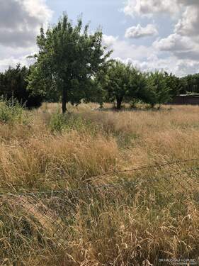 Blick in die Natur - Neubau-Doppelhaushälfte - 425.000,00 EUR Kaufpreis, ca.  115,40 m² Wohnfläche