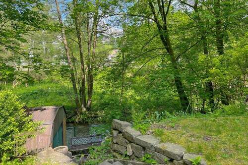 Gemeinschaftsgarten - 