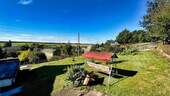 Blick in den Garten - 