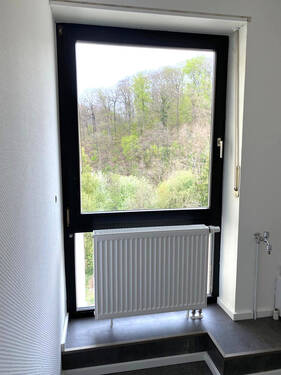 cf895423-a45f-4d63-a69d-9363ea3d97bc.JPG - 