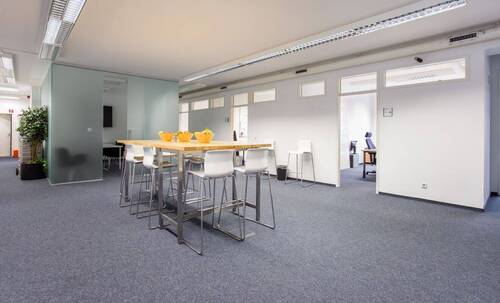 Blick aus dem Eingang - 