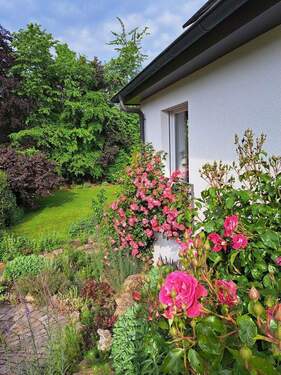Gartenimpressionen - 