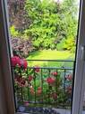 Blick in den Garten - 