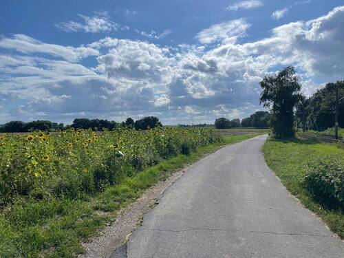 Umgebung am Rhein - Grundstück in Meerbusch / Büderich zum Kaufen