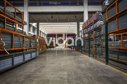 Beispielbild - HALLE 