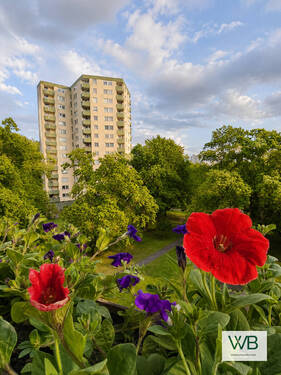 Aussicht vom Balkon - 2 Zimmer Etagenwohnung zum Kaufen in Wolfsburg / Alt Wolfsburg