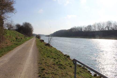 ... am Europakanal - 