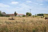 Wiese - 