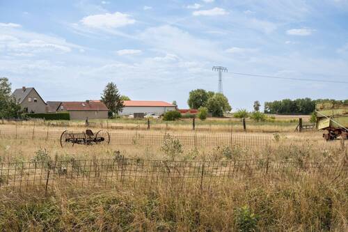 Wiese - 