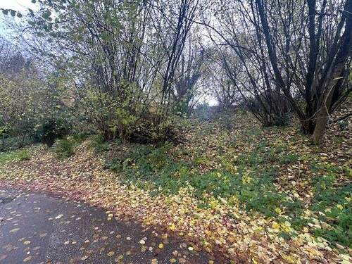 2) G_Gaggenau_Grundstück von unten - Grundstück in Gaggenau