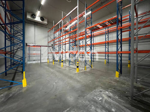 Kühllager - Halle in Wesseling zur Miete