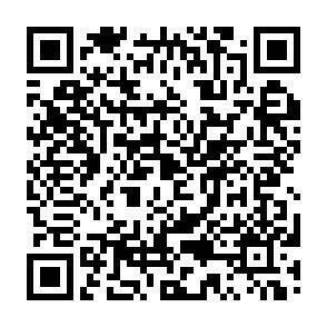 QR-Code - 