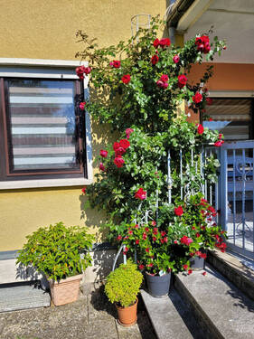 Bild4 - Etagenwohnung mit 95,00 m² in Scheinfeld zum Kaufen