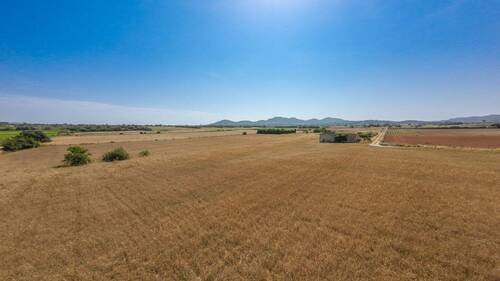 DJI_0300 - 