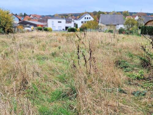 Eingerahmt vom Taunuswald - Grundstück in Neu-Anspach / Westerfeld