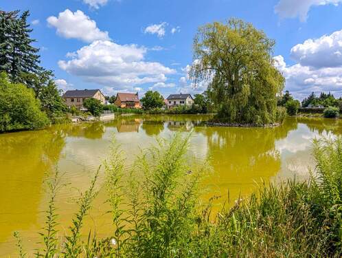 Dorfteich - 
