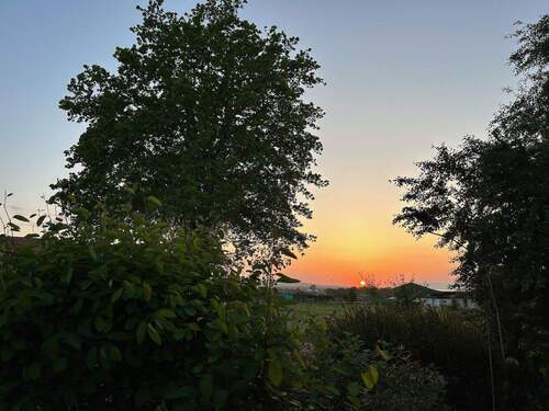 Bild 16 - 