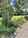 Garten - Grundstück zum Kaufen in Lübeck