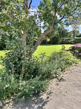 Garten - Grundstück zum Kaufen in Lübeck