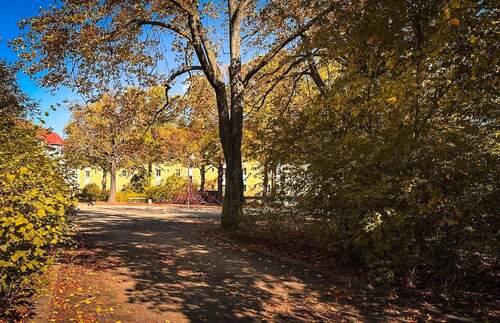 Spielplatz in der Nähe - 