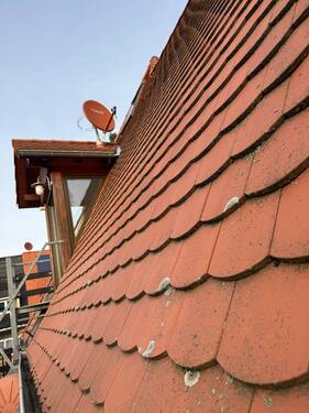 Dacheindeckung - 