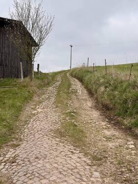 Zufahrt Feldweg - 