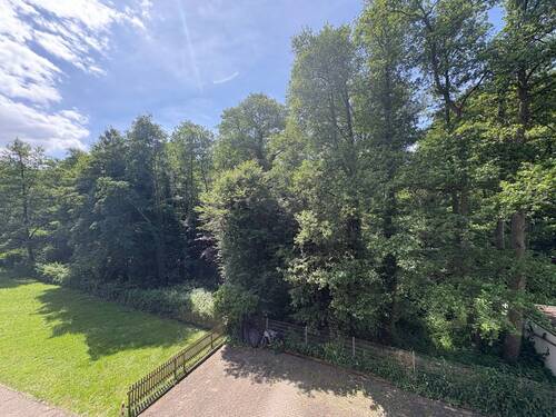 Ausblick ins Grüne - 