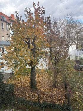 Blick vom Balkon - 
