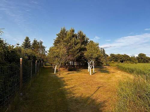 Rückansicht Grundstück - 