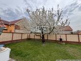 Gartenbereich - 