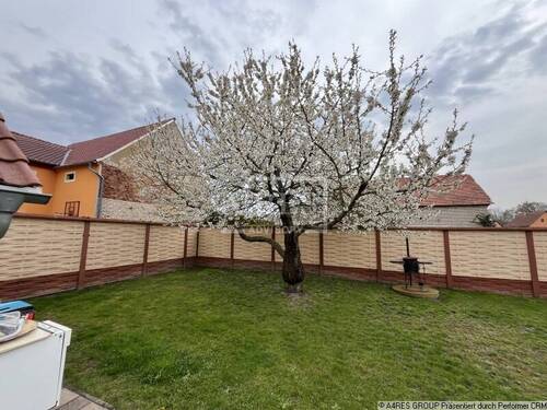 Gartenbereich - 