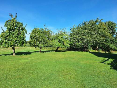 Garten mit Obstbäumen - 8 Zimmer Einfamilienhaus zum Kaufen in Scheggerott