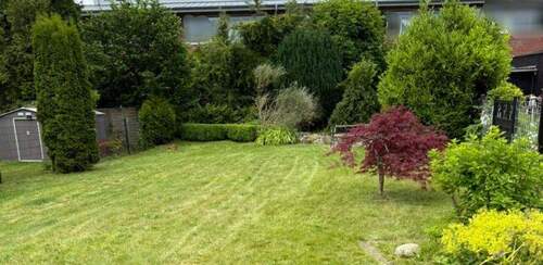 weitere Rasenfläche - 