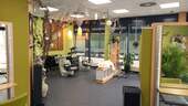 Blick in den Salon I.jpg - 