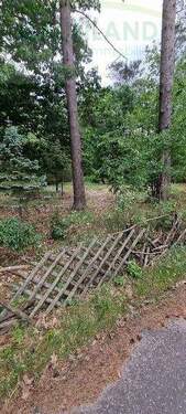 Bild 3 - Grundstück in Fichtenwalde