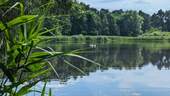 Lehnitzsee - 