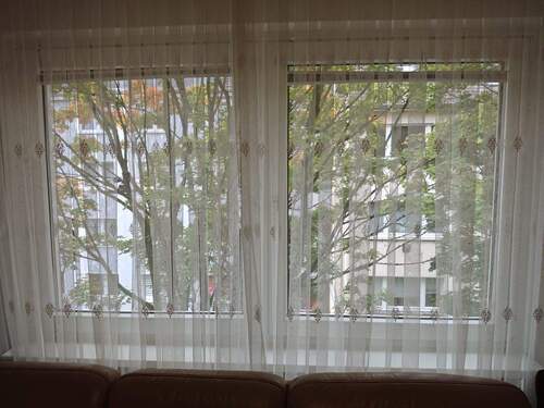 IMG-20251026-WA0061.jpg - 