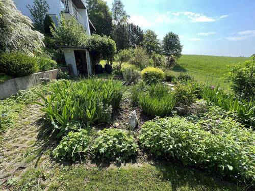 Garten - 