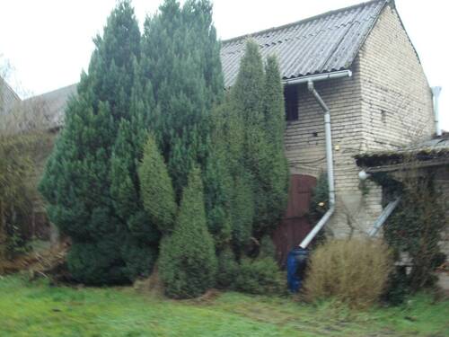 Bild 10 - 