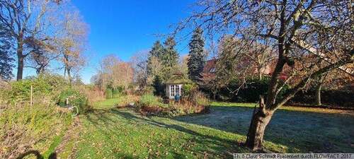 Blick in den herrlichen Garten - 