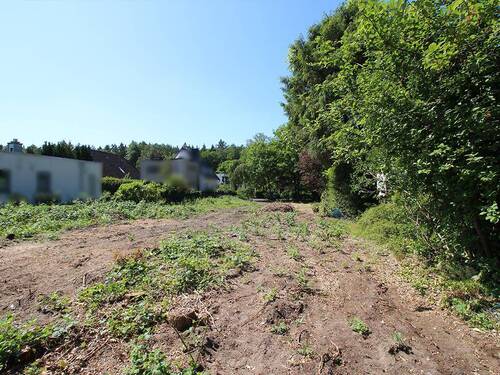 Baubereich - Grundstück zum Kaufen in Ahrensburg