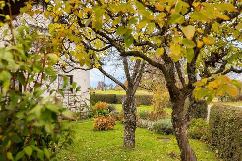 Garten - 5 Zimmer Doppelhaushälfte in Straubenhardt