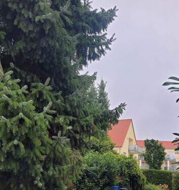 Bild 3 - 2 Zimmer Etagenwohnung in Ingolstadt